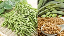 Dự báo thị trường ngũ cốc Trung Quốc năm 2023 và mười năm tới