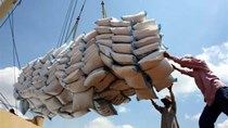 Xuất khẩu gạo 4 tháng đầu năm 2023 đạt gần 1,53 tỷ USD