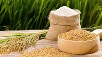 Tăng tốc xuất khẩu gạo