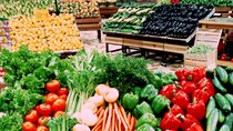 Xuất khẩu rau quả có thể xác lập kỉ lục 5 tỷ USD trong năm nay