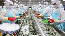 VIFTA- Cơ hội cho thủy sản Việt Nam vào thị trường Trung Đông
