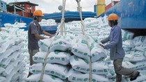 Xuất khẩu gạo 11 tháng năm 2023 tăng trưởng tốt