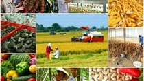 Ngành nông nghiệp dự kiến xuất siêu hơn 11 tỷ USD trong năm 2023