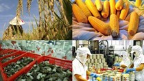 Nông sản trước cơ hội “vàng” với thị trường Trung Quốc