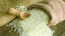 FAO: Dự báo cung - cầu gạo thế giới năm 2023/2024