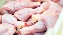 Mỹ và Trung Quốc dẫn đầu thế giới về sản xuất thịt gà