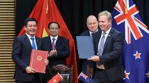 Việt Nam - New Zealand đặt mục tiêu kim ngạch 2 tỷ USD năm 2024