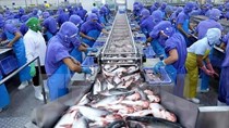 XK cá tra 2 tháng đầu năm: Thị trường Mỹ tăng, Trung Quốc giảm