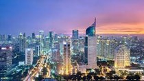 Việt Nam nhập siêu hàng hóa từ Indonesia 2 tháng đầu năm 2024 giảm 53,9%