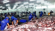 FTA - trợ lực thúc đẩy xuất khẩu cá tra