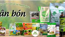 Giá phân bón ngày 15/8/2024 đồng loạt đứng yên tại tất cả các khu vực