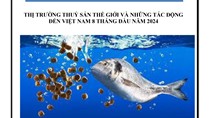 Thị trường thủy sản Việt Nam và thế giới 8 tháng đầu năm 2024: Phân tích và dự báo