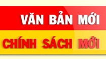 Bộ Công Thương thu hồi quyền cấp C/O, CNM và mã số REX từ VCCI 