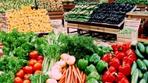 Xuất khẩu rau quả tháng 3/2025 tăng mạnh trên 52%