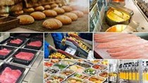 FAO: Chỉ số giá thực phẩm thế giới tháng 4/2025 tăng