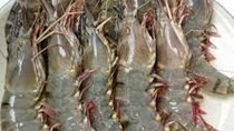 Việt Nam nhập khẩu thủy sản nhiều nhất từ thị trường Indonesia