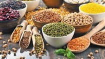 Thương mại và dự trữ ngũ cốc thế giới năm 2025/26 dự kiến phục hồi 