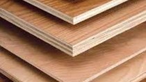 Ngành gỗ Việt Nam: tìm hướng đi mới để tồn tại