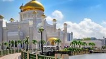 Hàng hóa nhập khẩu từ Brunei 5 tháng đầu năm 2025 tăng 11,26%