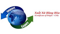 Quy định thực hiện chứng nhận xuất xứ hàng hoá theo ưu đãi thuế quan phổ cập của Na Uy, Thụy Sĩ