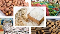 Bản tin Thị trường Nông lâm thủy sản số ra ngày 21/7/2025