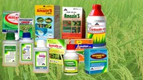 Nhập khẩu thuốc trừ sâu từ các thị trường 6 tháng đầu năm 2025 