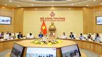 Brazil là đối tác thương mại lớn nhất của Việt Nam tại Nam Mỹ 