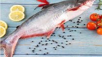 Cá tra xuất Mỹ tăng trưởng đột phá