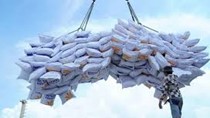 Nghiên cứu thông tin về giải pháp để gạo Việt giữ vị trí xuất khẩu thứ hai thế giới