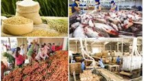 Xuất khẩu nông, lâm, thủy sản hướng đến mục tiêu 100 tỷ USD