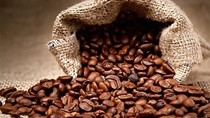 Xuất khẩu cà phê Việt Nam sang EU tăng mạnh trong 5 tháng đầu năm 2025 nhờ EVFTA