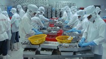 Khơi thông thị trường xuất khẩu thủy sản