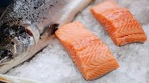 Giá cá hồi Na Uy tăng vọt trong tuần cuối cùng của năm 2025