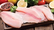 Cá rô phi nổi lên như một sản phẩm xuất khẩu tiềm năng