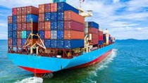 Giá cước vận chuyển container hạ nhiệt