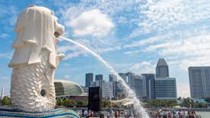 Kim ngạch thương mại Việt Nam - Singapore tăng mạnh