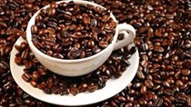 Giá cà phê kỳ hạn tại NYBOT sáng ngày 28/4/2016 