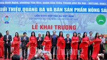 Khai trương chuỗi siêu thị nông sản, thực phẩm an toàn Việt Nam