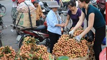Xây dựng thương hiệu cho nông sản Bắc Giang: Hướng đi đúng