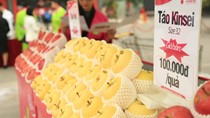   Táo Aomori chính thức được bán ở Việt Nam