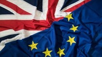 Brexit: Anh nỗ lực tìm kiếm hiệp định thương mại tự do với Nhật Bản