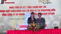 Khăn bông hữu cơ cao cấp Mollis Organic