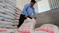 Người Việt ăn gạo... Campuchia