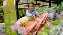 Mua hàng phải soi kỹ nguồn gốc