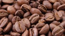 Giá cà phê trong nước tăng 700 nghìn đồng/tấn