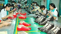 8 tháng đầu 2015, tổng kim ngạch xuất khẩu giày dép các loại đạt 7,95 tỷ USD