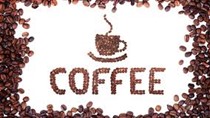 Giá cà phê trong nước tăng trở lại 200 nghìn đồng/tấn ngày 23/10