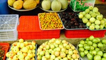 Mận, đào Trung Quốc đội lốt đặc sản Hà Nội, Sapa