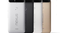 Chiếc Nexus tốt nhất của Google chuẩn bị ra mắt