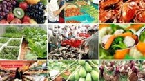 Giá lương thực toàn cầu trong tháng 4/2016 tăng nhẹ 